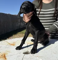 processed/dd67ab9b-a07f-47ad-947e-397c93ef8a5f/listing/6b44fa11-8ab9-432a-813d-2ea29605078a/16011bf1-4525-4731-9f4d-5e09cee01857