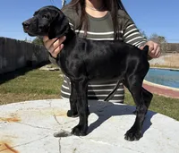 processed/dd67ab9b-a07f-47ad-947e-397c93ef8a5f/listing/6b44fa11-8ab9-432a-813d-2ea29605078a/1bba1933-c0d4-43f6-a8ea-0e422855bbdc