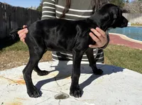 processed/dd67ab9b-a07f-47ad-947e-397c93ef8a5f/listing/6b44fa11-8ab9-432a-813d-2ea29605078a/aa9cef1c-6dca-4c8c-a420-b7db5999f5f2