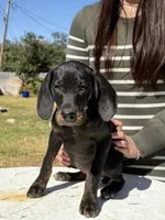 processed/dd67ab9b-a07f-47ad-947e-397c93ef8a5f/listing/a0150d64-6398-4872-a472-ddd449003e3c/182c4b13-d57c-4f5d-8cc2-143b2f372b97