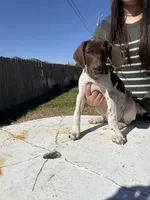 processed/dd67ab9b-a07f-47ad-947e-397c93ef8a5f/listing/a240aa96-81c2-4f31-8573-7fced4ea31b2/7a5f7c1c-3453-45f9-baf6-36f914ab5cbe