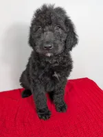 processed/dd6f86ee-ff96-4b55-a068-a87be89f84c2/listing/199511df-d94d-4945-89b5-426c13c55549/070df681-ef34-436d-8c82-c24aa9b40fbd