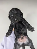 processed/dd6f86ee-ff96-4b55-a068-a87be89f84c2/listing/199511df-d94d-4945-89b5-426c13c55549/0bb5acd2-6edb-425e-bcbd-0bc4db959ead