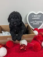 processed/dd6f86ee-ff96-4b55-a068-a87be89f84c2/listing/199511df-d94d-4945-89b5-426c13c55549/43589717-246c-4806-a3cf-19b1bb7f98db