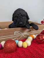 processed/dd6f86ee-ff96-4b55-a068-a87be89f84c2/listing/199511df-d94d-4945-89b5-426c13c55549/9b9c55f5-2d73-4e32-b225-a03057f5730f