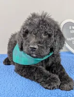 processed/dd6f86ee-ff96-4b55-a068-a87be89f84c2/listing/199511df-d94d-4945-89b5-426c13c55549/bf1720a4-80ad-49a8-a84d-eb164a6b1648