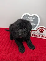 processed/dd6f86ee-ff96-4b55-a068-a87be89f84c2/listing/199511df-d94d-4945-89b5-426c13c55549/de0bd14c-5153-43e6-8dfc-91cdc89a0cf1