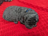 processed/dd6f86ee-ff96-4b55-a068-a87be89f84c2/listing/199511df-d94d-4945-89b5-426c13c55549/eb69f455-bb4c-4db7-a454-99413a633d5a