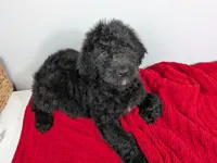 processed/dd6f86ee-ff96-4b55-a068-a87be89f84c2/listing/199511df-d94d-4945-89b5-426c13c55549/f69efcf7-ca60-4041-a0bb-5e35c40ec500