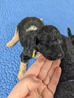 processed/dd6f86ee-ff96-4b55-a068-a87be89f84c2/listing/5fa9ccab-bf69-4ddd-9a13-ee4b86946a72/483474c8-aeb9-4182-b335-4e3f14cbec1c