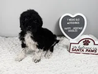 processed/dd6f86ee-ff96-4b55-a068-a87be89f84c2/listing/5fa9ccab-bf69-4ddd-9a13-ee4b86946a72/571b539d-5557-49a6-8592-673c69838410