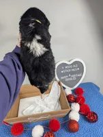 processed/dd6f86ee-ff96-4b55-a068-a87be89f84c2/listing/5fa9ccab-bf69-4ddd-9a13-ee4b86946a72/b6b47184-dc52-48bc-932e-2cb2d8e1fc4b