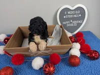 processed/dd6f86ee-ff96-4b55-a068-a87be89f84c2/listing/5fa9ccab-bf69-4ddd-9a13-ee4b86946a72/cf0e58a2-e53d-47e9-b38f-3d47ff9dd7cd