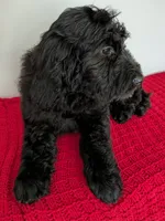 processed/dd6f86ee-ff96-4b55-a068-a87be89f84c2/listing/7b19338e-4521-442c-8779-940b89c504f2/0a7a2899-1be9-4f10-b600-e353384d271f