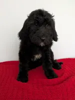 processed/dd6f86ee-ff96-4b55-a068-a87be89f84c2/listing/7b19338e-4521-442c-8779-940b89c504f2/1eda2acd-322c-4896-a84c-cb36a34a4f38