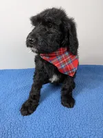 processed/dd6f86ee-ff96-4b55-a068-a87be89f84c2/listing/7b19338e-4521-442c-8779-940b89c504f2/3982197b-d811-428f-b6e8-fc1d96800bde