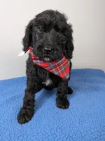 processed/dd6f86ee-ff96-4b55-a068-a87be89f84c2/listing/7b19338e-4521-442c-8779-940b89c504f2/b492dcc3-457b-49e5-a699-c545cb61ceac