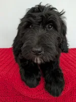 processed/dd6f86ee-ff96-4b55-a068-a87be89f84c2/listing/7b19338e-4521-442c-8779-940b89c504f2/c7e1fdf0-2158-46be-b9a5-8b3f59081923