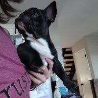 processed/dd7281ce-054d-4e88-a307-eb3c564c9c32/listing/adea36ab-c612-4b5c-91fb-8a523a9eac05/5cf51abb-f38c-4b59-b9e3-dee27ea4147d