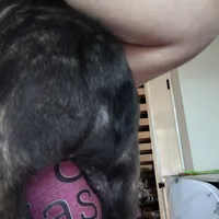 processed/dd7281ce-054d-4e88-a307-eb3c564c9c32/listing/cd9dfaad-f0ac-4fbe-9e0f-6bd0f11a9e3c/656871dd-9aaf-4e6d-8afc-ed35b26822f3