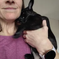 processed/dd7281ce-054d-4e88-a307-eb3c564c9c32/listing/cd9dfaad-f0ac-4fbe-9e0f-6bd0f11a9e3c/850c6501-8ae3-41c9-9b76-eee6c51495ac