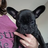 processed/dd7281ce-054d-4e88-a307-eb3c564c9c32/listing/cd9dfaad-f0ac-4fbe-9e0f-6bd0f11a9e3c/e18c36ef-3020-4c4e-b55d-588a0016a965