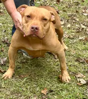 processed/dd80540b-6e9b-4ed8-882d-b35a81164632/listing/12ecec10-de85-43eb-ae85-7d44fd7f96c1/782b144c-d35c-41fb-9a3e-8eac958909e7