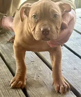 processed/dd80540b-6e9b-4ed8-882d-b35a81164632/listing/f5fa4efe-b0bc-4325-9cdc-94435ee2d44d/1348e480-63f6-41cb-ad21-2a1b8b73768b