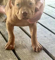 processed/dd80540b-6e9b-4ed8-882d-b35a81164632/listing/f5fa4efe-b0bc-4325-9cdc-94435ee2d44d/1573575e-5835-4e97-a6e0-3cc4f8d7247e