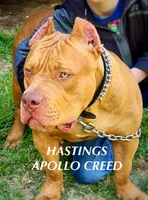 processed/dd80540b-6e9b-4ed8-882d-b35a81164632/listing/f5fa4efe-b0bc-4325-9cdc-94435ee2d44d/312257dd-50cf-4c55-97cd-013609642470