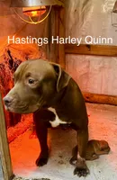 processed/dd80540b-6e9b-4ed8-882d-b35a81164632/listing/f5fa4efe-b0bc-4325-9cdc-94435ee2d44d/60373f85-81fa-4131-a911-7db26eee7e04