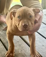 processed/dd80540b-6e9b-4ed8-882d-b35a81164632/listing/f5fa4efe-b0bc-4325-9cdc-94435ee2d44d/b2c9fad3-ebf4-46f3-8246-fb8fb37ba5df