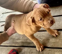 processed/dd80540b-6e9b-4ed8-882d-b35a81164632/listing/f5fa4efe-b0bc-4325-9cdc-94435ee2d44d/fc0e8394-233a-4e49-bfdc-a06a9208ccf0