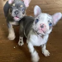 processed/dd81f2f3-748c-4c2d-ae61-b1a0f9012f17/facility/8d1236bc-ab38-4883-9f55-498dc620f799