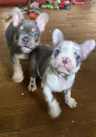 processed/dd81f2f3-748c-4c2d-ae61-b1a0f9012f17/facility/8d1236bc-ab38-4883-9f55-498dc620f799