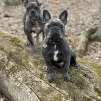 processed/dd81f2f3-748c-4c2d-ae61-b1a0f9012f17/facility/b600ef82-14a6-4b00-a996-6dc4ecdde9e3