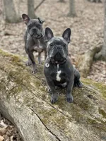 processed/dd81f2f3-748c-4c2d-ae61-b1a0f9012f17/facility/b600ef82-14a6-4b00-a996-6dc4ecdde9e3