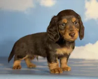 processed/dd81f2f3-748c-4c2d-ae61-b1a0f9012f17/listing/0dd11b9d-7324-41a7-88ae-47dc7ee4d9c3/8de4e9aa-64a6-48f3-9c5d-90d2830977e2