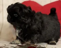 processed/dd81f2f3-748c-4c2d-ae61-b1a0f9012f17/listing/15b841fa-b571-4a0c-9953-6a3d033392b8/4ee84d4c-a8d4-462c-bca8-e284a0bdf3f3