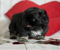 processed/dd81f2f3-748c-4c2d-ae61-b1a0f9012f17/listing/15b841fa-b571-4a0c-9953-6a3d033392b8/7921cce2-4f96-4b80-a712-eab8dd885a09