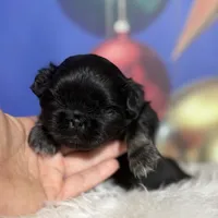 processed/dd81f2f3-748c-4c2d-ae61-b1a0f9012f17/listing/15b841fa-b571-4a0c-9953-6a3d033392b8/935c9056-18f3-41a0-984d-4bccbaeb3f1e