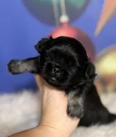 processed/dd81f2f3-748c-4c2d-ae61-b1a0f9012f17/listing/15b841fa-b571-4a0c-9953-6a3d033392b8/b007a28c-7737-429b-9280-98c0f8ab712c