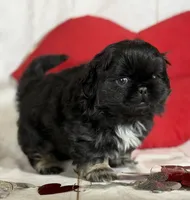 processed/dd81f2f3-748c-4c2d-ae61-b1a0f9012f17/listing/15b841fa-b571-4a0c-9953-6a3d033392b8/ee07d41b-b800-4e41-9e06-ef4a296970c4