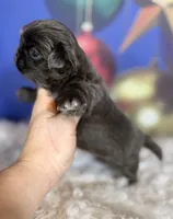 processed/dd81f2f3-748c-4c2d-ae61-b1a0f9012f17/listing/385ebac9-b407-4338-b03b-9987c2f1fd4e/0d672fda-d139-4250-a0cb-3387f95a2997