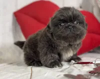 processed/dd81f2f3-748c-4c2d-ae61-b1a0f9012f17/listing/385ebac9-b407-4338-b03b-9987c2f1fd4e/0fb7ba76-5cc3-4188-b13e-983aaf523434