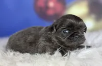 processed/dd81f2f3-748c-4c2d-ae61-b1a0f9012f17/listing/385ebac9-b407-4338-b03b-9987c2f1fd4e/26d78663-1872-454f-9963-a2c8c1757cb0