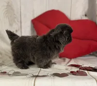 processed/dd81f2f3-748c-4c2d-ae61-b1a0f9012f17/listing/385ebac9-b407-4338-b03b-9987c2f1fd4e/5afeb7aa-e88a-4d55-9363-cf041d7f31bb