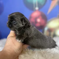 processed/dd81f2f3-748c-4c2d-ae61-b1a0f9012f17/listing/385ebac9-b407-4338-b03b-9987c2f1fd4e/cbce0c82-60b6-4688-89d8-e8699372e50a