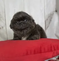 processed/dd81f2f3-748c-4c2d-ae61-b1a0f9012f17/listing/385ebac9-b407-4338-b03b-9987c2f1fd4e/d10c471e-918a-4f92-952c-58a9c5fd22e7