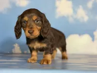 processed/dd81f2f3-748c-4c2d-ae61-b1a0f9012f17/listing/400079e9-e857-4838-8a51-24ac1a95492e/2e03a0c1-7f55-45ec-8cb9-59c258a9e0f7